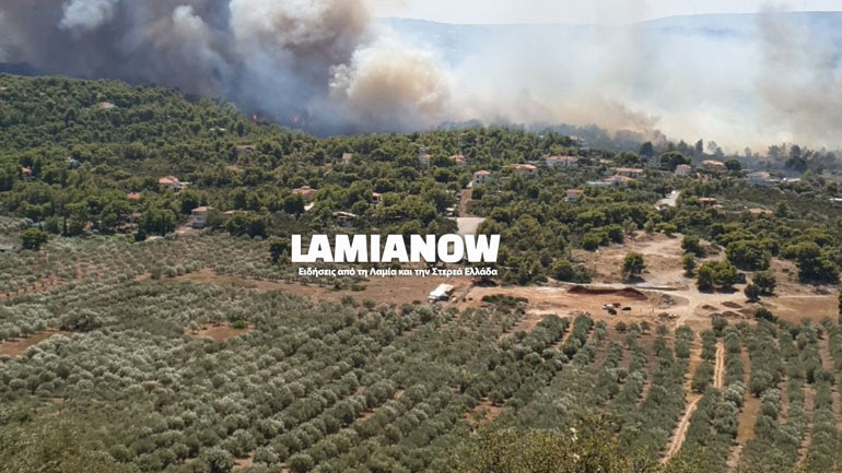 Φωτιά κοντά σε σπίτια στο Θεολόγο Φθιώτιδας