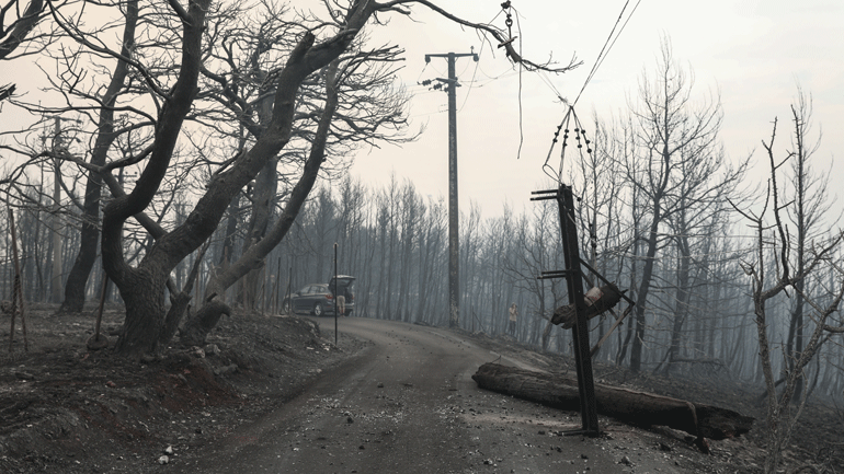 Αστεροσκοπείο: Οι φετινές καμένες εκτάσεις στην Ελλάδα είναι ήδη 180% πάνω από τον μέσο όρο της περιόδου 2008-2020