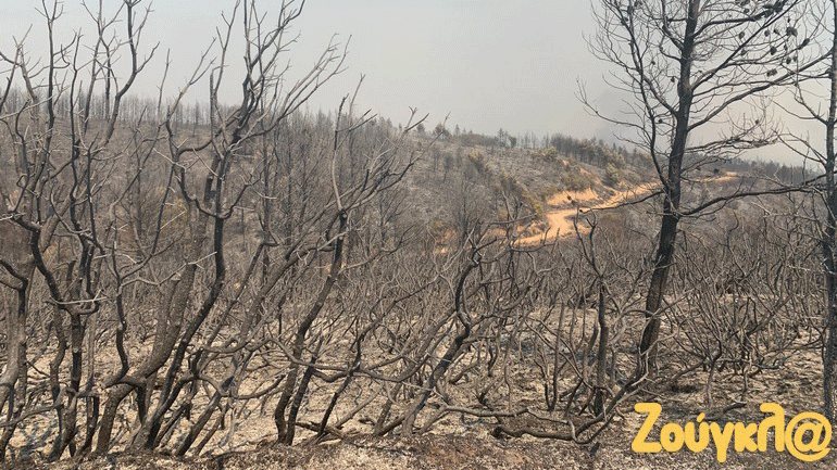 Ολοκληρωτική καταστροφή στη Δροσοπηγή Κρυονερίου