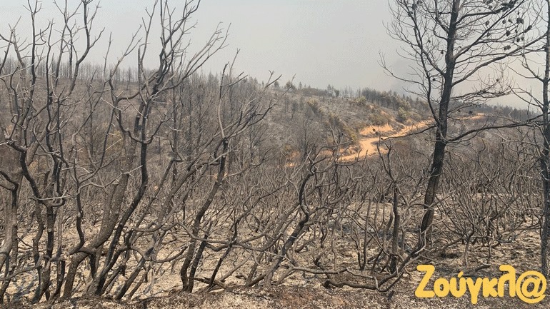 Κρυονέρι: Ποινική δίωξη για πρόκληση πυρκαγιάς στον άνδρα που συνελήφθη