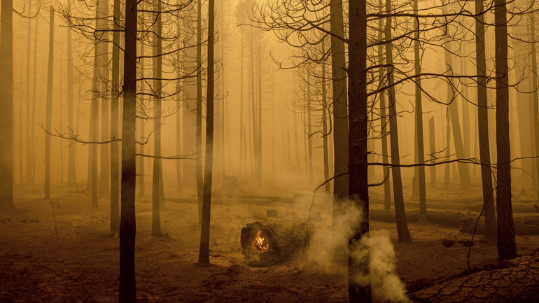 Καλιφόρνια: Συνεχίζει την καταστροφική της πορεία η πυρκαγιά Ντίξι