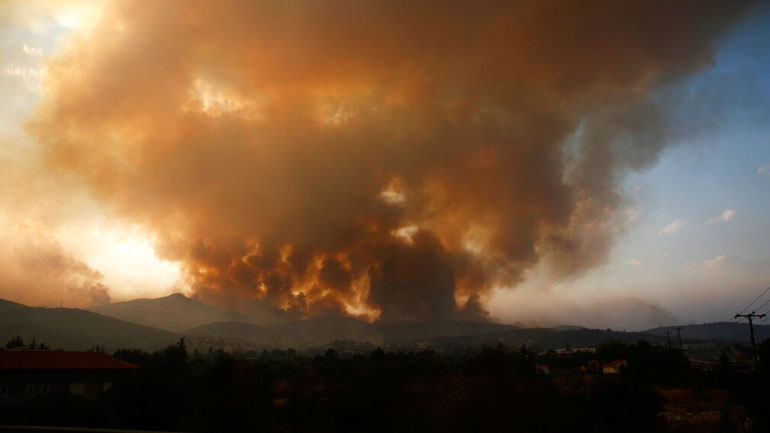 Ανατολική Μάνη: Μάχη με τις φλόγες για να μην φτάσει η φωτιά στο Γύθειο