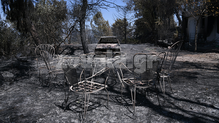 Η επόμενη μέρα: Οδοιπορικό της Ζούγκλας σε Αγ. Στέφανο και Πευκόφυτο