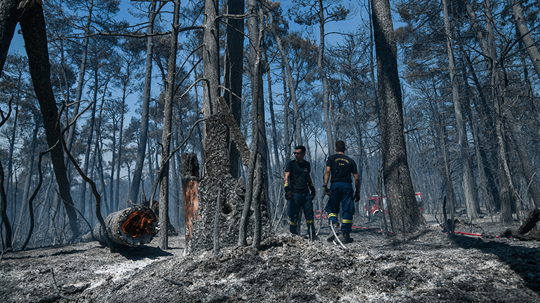 Ψυχολόγοι και κοινωνικοί λειτουργοί μεταβαίνουν σε Χαλκίδα και Αιδηψό για να προσφέρουν υποστήριξη στους πυρόπληκτους