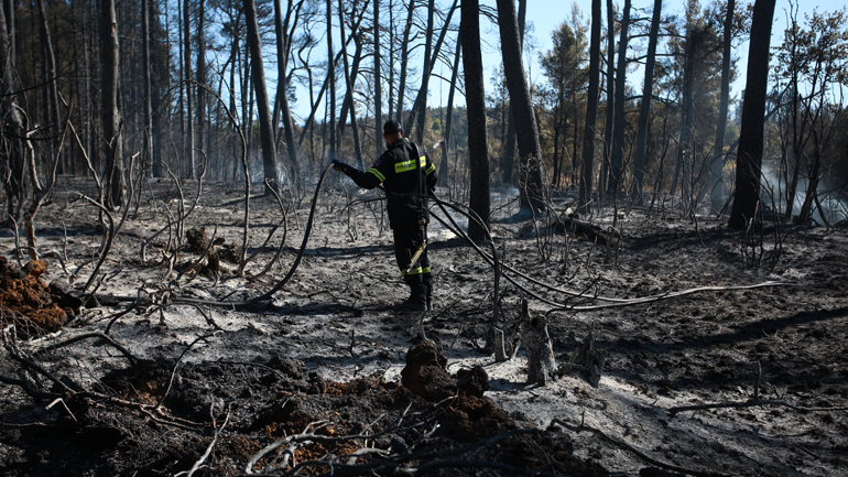 Μαίνεται η φωτιά σε Γούβες και Αρτεμίσιο