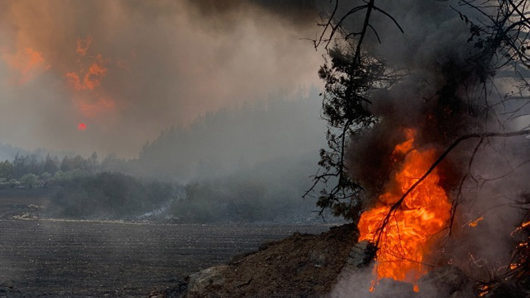 Κρήτη: Σε ύφεση η φωτιά στον Άγιο Θωμά Ηρακλείου