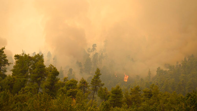 Αναζωπυρώσεις στην Ηλεία – Επιχειρούν και πυροσβέστες από την Τσεχία