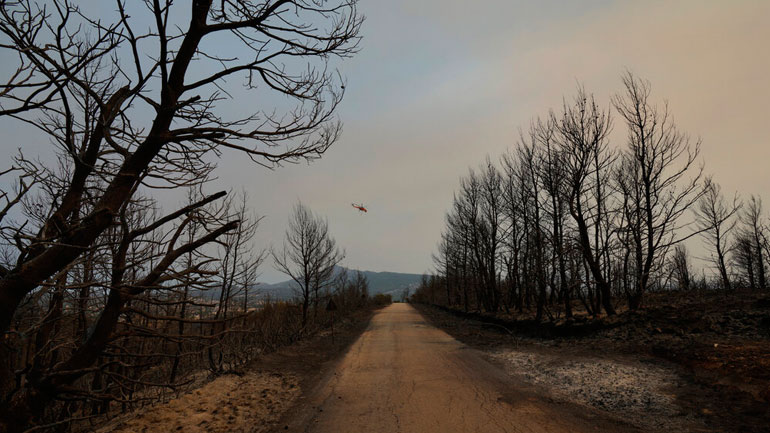 Ξεκίνησε η απογραφή και η καταγραφή των ζημιών από τις πυρκαγιές