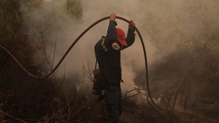 Ηράκλειο: Υπό μερικό έλεγχο η φωτιά στον Άγιο Θωμά Γόρτυνας