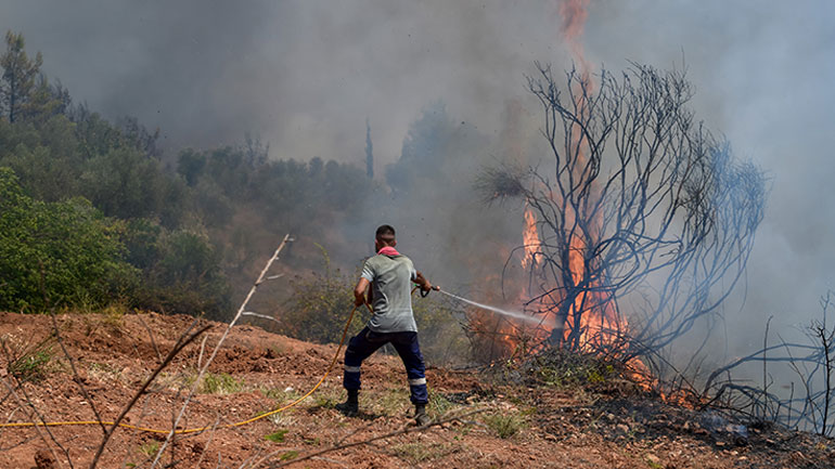 Αναζωπυρώσεις στην Αρχαία Ολυμπία: Σε κατάσταση έκτακτης ανάγκης τέσσερις δημοτικές ενότητες