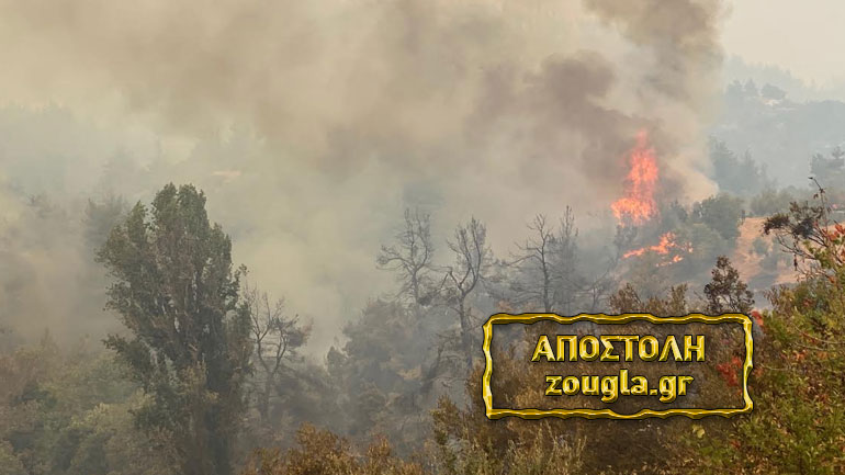 Αναζωπύρωση στο χωριό Γερακιού