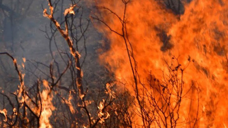 Τρίπολη: Παραμένει αρκετά δύσκολη η κατάσταση με τη φωτιά στη Γορτυνία