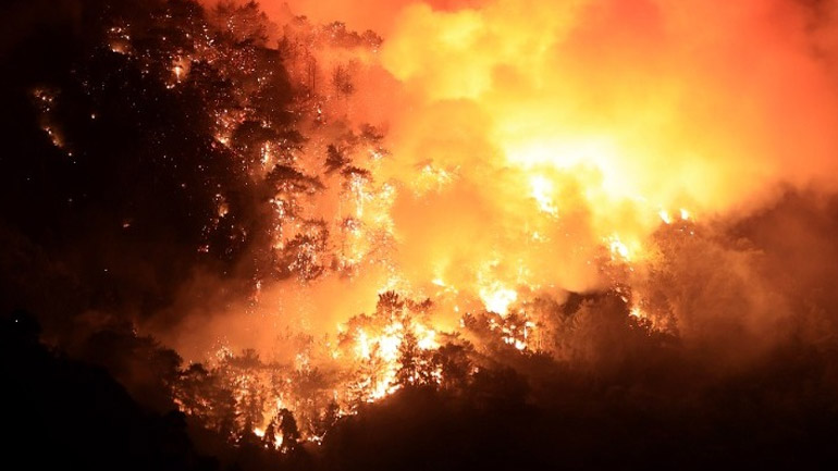 Τέσσερις νεκροί από τις δασικές πυρκαγιές στην Αλγερία