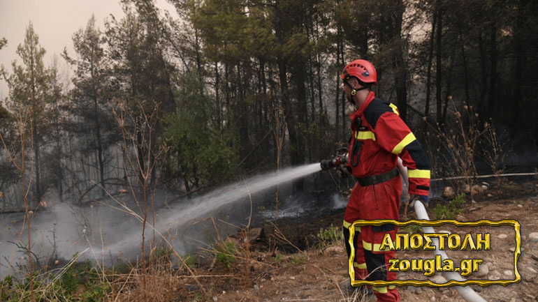 Αντιπυρικές ζώνες στην Αβγαριά Ευβοίας για την αντιμετώπιση των αναζωπυρώσεων