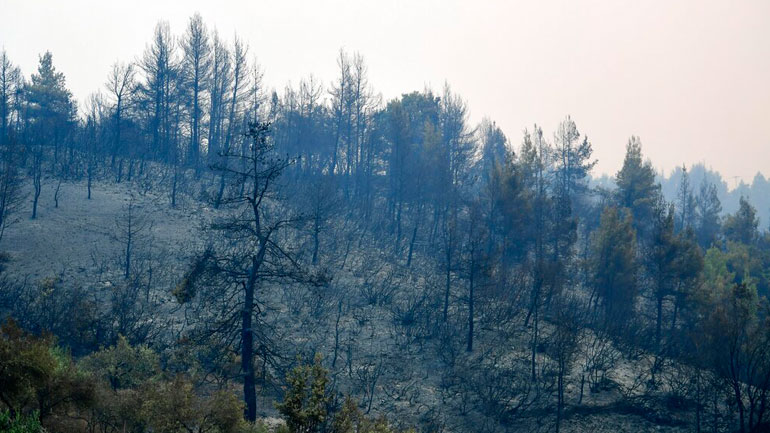 Aναζωπυρώσεις σε Ηλεία και Γορτυνία