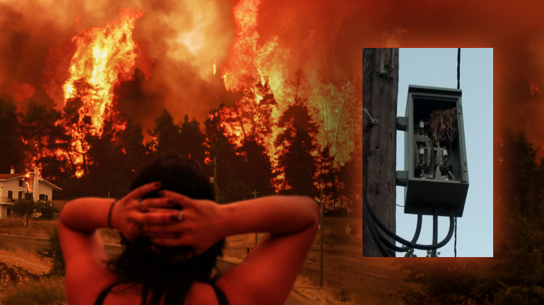 Να πώς κάψατε τα δάση Να πώς κάψατε τα δάση