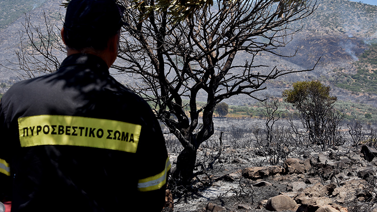 Ξεκίνησε η καταγραφή ζημιών στις πυρόπληκτες περιοχές της Περιφέρειας Πελοποννήσου