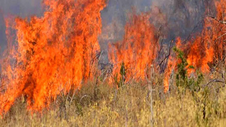 Κέρκυρα: Υπό μερικό έλεγχο δύο φωτιές Κέρκυρα: Υπό μερικό έλεγχο δύο φωτιές