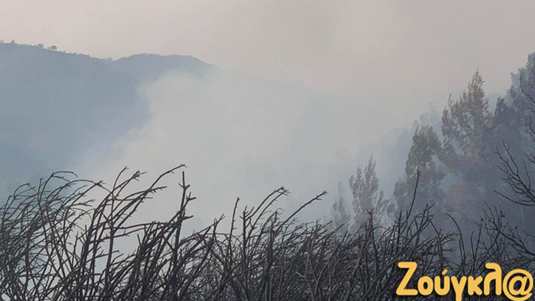 Αναζωπύρωση στο Νεοχώρι Γορτυνίας – Γερμανοί και Γάλλοι στην επιχείρηση πυρόσβεσης