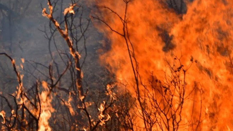 Συγκλονιστικό βίντεο από τη Γορτυνία: Πέρασαν με το αυτοκίνητο μέσα από τις φλόγες