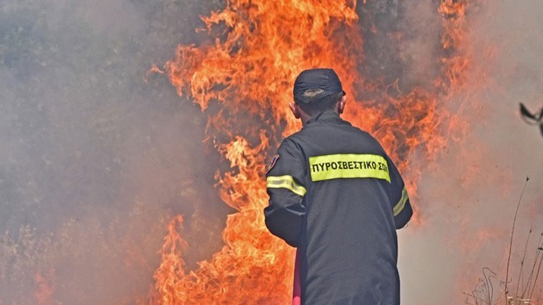 Χανιά: Περισσότερες από 40 παλέτες με είδη πρώτης ανάγκης αποστέλλει ο δήμος σε πυρόπληκτες περιοχές