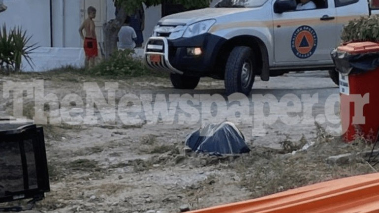 Κτηνωδία στον Βόλο: Έδεσαν πίτμπουλ σε τσιμεντόλιθο και το πέταξαν στη θάλασσα