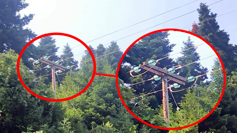 Ντροπή σας. Αυτή είναι η επόμενη πυρκαγιά!