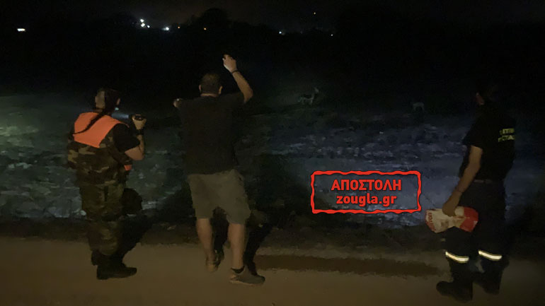 Εθελοντές εντόπισαν αγέλη πυρόπληκτων σκυλιών στο καμένο δάσος του Μαντουδίου