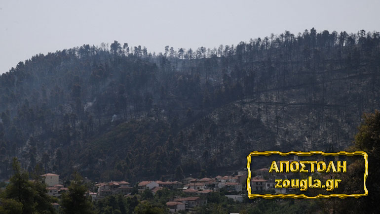 Η καμένη γη στη Βόρεια Εύβοια με το φακό της Ζούγκλας