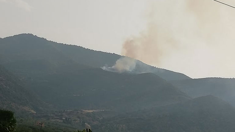 Πυρκαγιά στην Αταλάντη – Προκλήθηκε από κεραυνούς