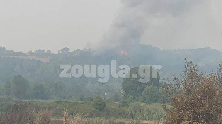 Μεγάλη αναζωπύρωση τώρα στη Γορτυνία – Επεμβαίνουν οι Γάλλοι πυροσβέστες