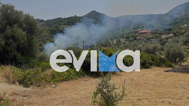 Εύβοια: Φωτιά στην Πλατάνα – Προκλήθηκε από κολώνα της ΔΕΗ