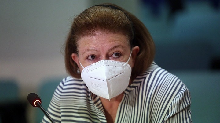 Λ. Μενδώνη: Ζημιές σε επτά κτήρια στο Τατόι