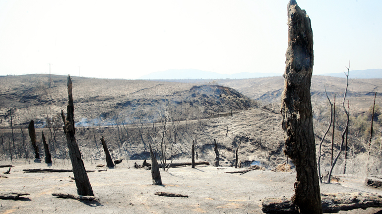 Μαίνεται η φωτιά στη Γορτυνία