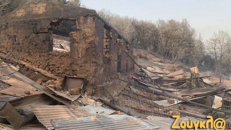 Λιβαδάκι Γορτυνίας: Ολική καταστροφή στην τοπική οικονομία