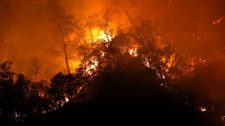Τουλάχιστον 69 νεκροί από τις πυρκαγιές στην Αλγερία
