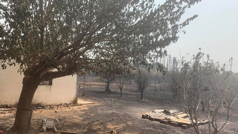 Ξεκίνησε η καταγραφή ζημιών από τις πυρκαγιές στην Αρκαδία