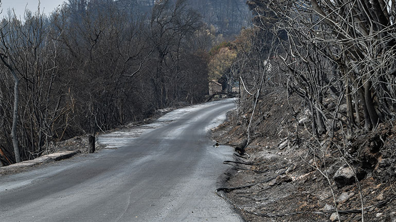 Πυρκαγιές: Πάνω από 1.000.000 στρέμματα κάηκαν σε δύο εβδομάδες