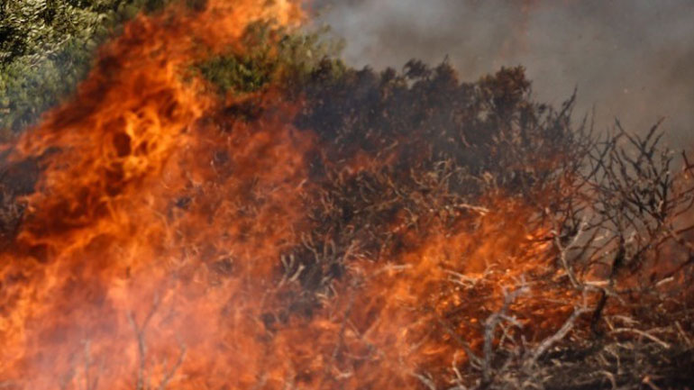 Υπό έλεγχο η πυρκαγιά σε δασική έκταση στη Βουρβουρού Χαλκιδικής