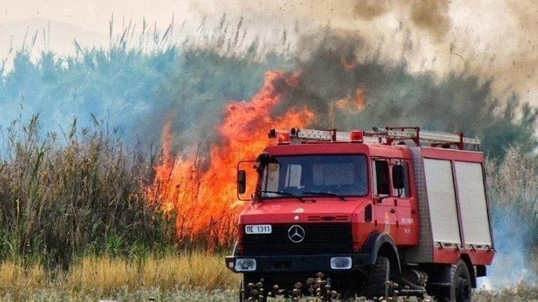 Σε ύφεση η πυρκαγιά στη Σιθωνία Χαλκιδικής
