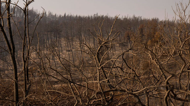 Συνεδριάζει εκτάκτως ο Δήμος Διονύσου για αποζημιώσεις των πληγέντων, αντιπλημμυρικά και αναδασώσεις