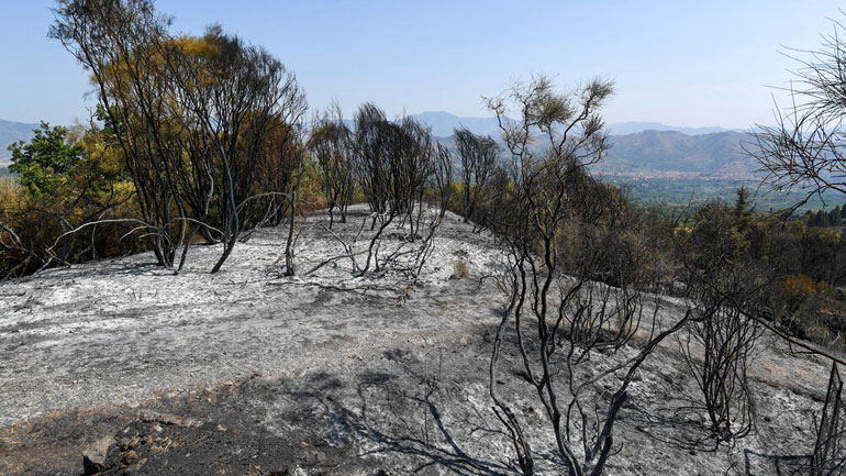 Ιταλία: Απομακρύνονται κάτοικοι λόγω πυρκαγιάς ανατολικά της Ρώμης