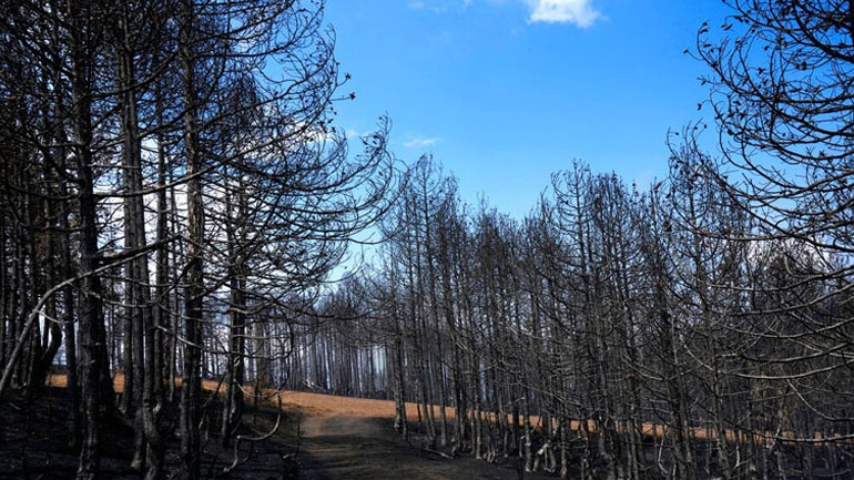 Είδη πρώτης ανάγκης από τον Δήμο Ιλίου για τους πληγέντες από τις πυρκαγιές