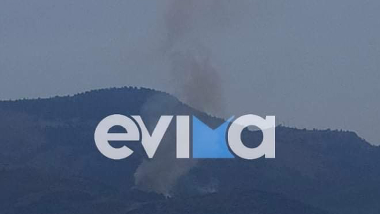 Εύβοια: Νέα πυρκαγιά στο Μίστρο σε δασική έκταση