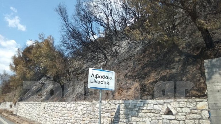 Καλώδια ηλεκτρικού ρεύματος “ξεπηδούν” από τα ακαθάριστα δένδρα καμένου χωριού στη Γορτυνία