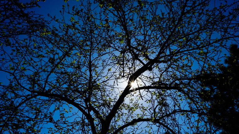 Ο καιρός σήμερα