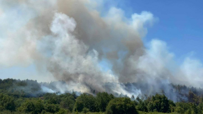 Τέθηκε υπό έλεγχο η πυρκαγιά στη Νυμφαία Κομοτηνής