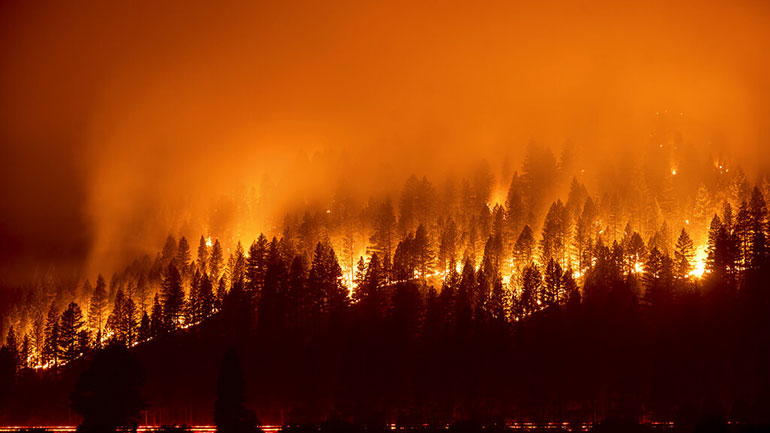 Μαρόκο: Πυρκαγιές μαίνονται σε δασικές εκτάσεις στον βορρά