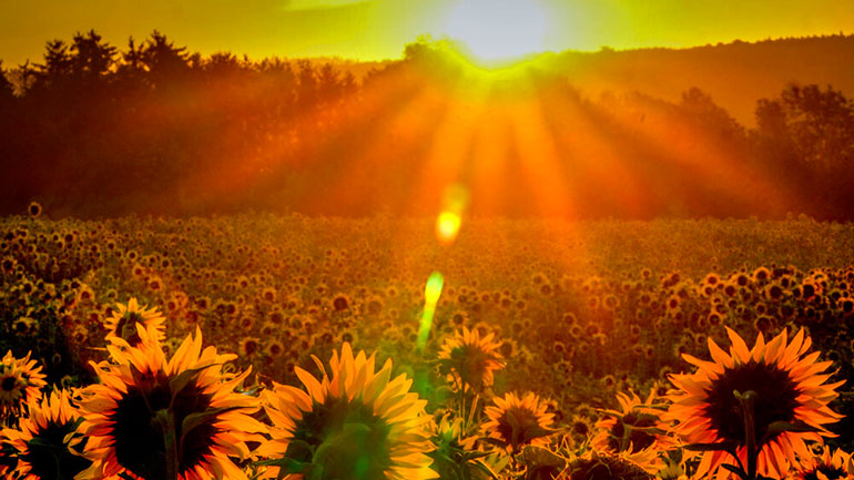 Νέα σταδιακή άνοδος της θερμοκρασίας