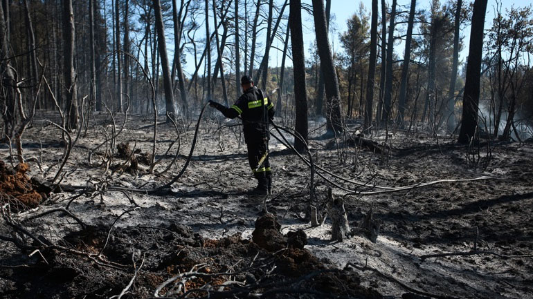 Στη “Διαύγεια” η ΚΥΑ για την έκτακτη ενίσχυση εργαζόμενων επιχειρήσεων που καταστράφηκαν από τις πυρκαγιές